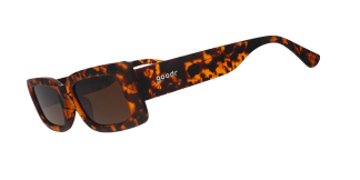 Came Here to Be Seen